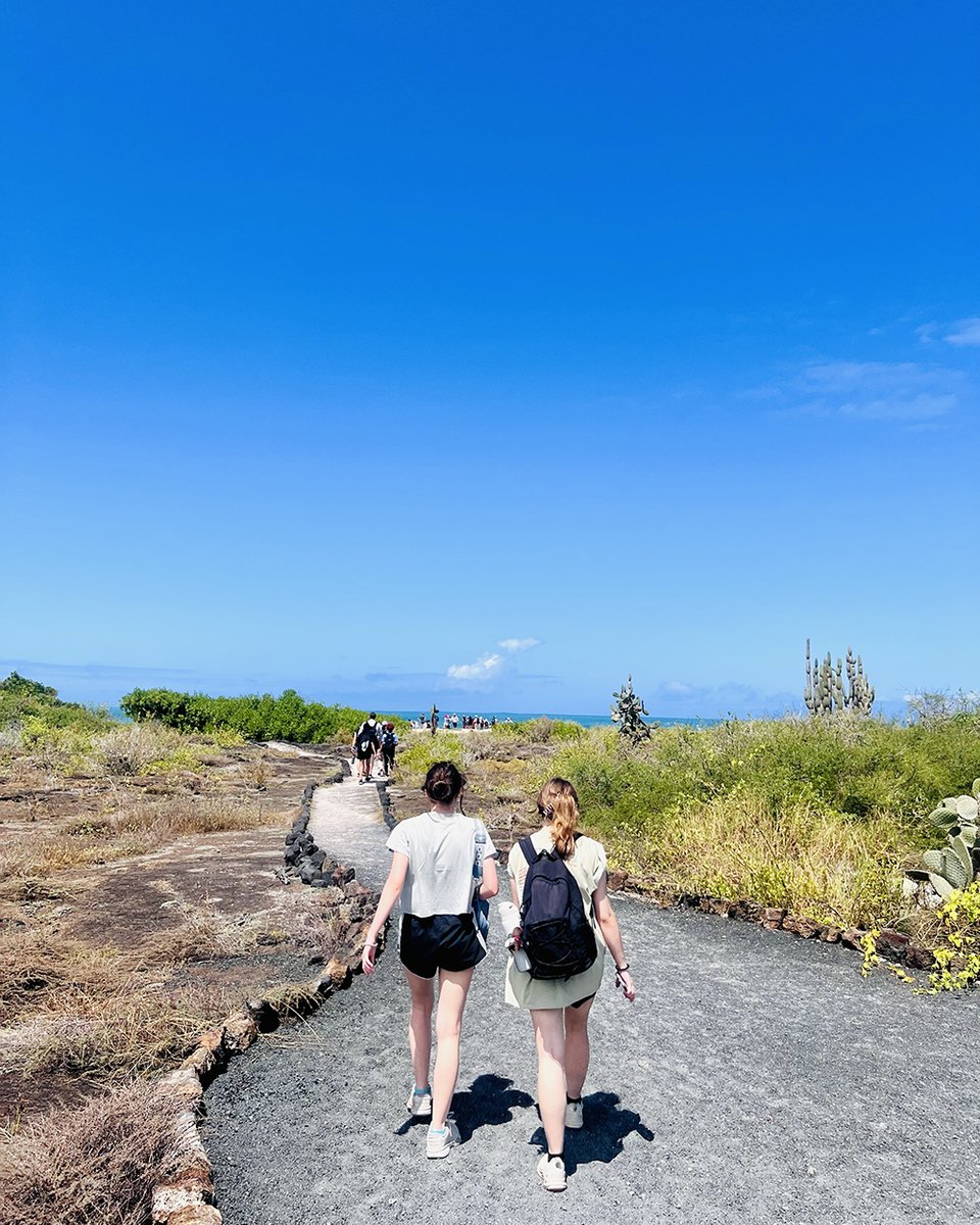 KSU Arts & Sciences (@ksu_collegeofas) on Twitter photo Marine iguanas blend into volcanic rock while the fiery red Brujo Flycatcher perches nearby—just two examples of how life adapts in the Galápagos. Students explored mangroves, wetlands, and wildlife on Isabela Island.
#KentStateAbroad <a href="/KentState/">Kent State</a> @StudyAbroadKent @KSUChemistry Marine iguanas blend into volcanic rock while the fiery red Brujo Flycatcher perches nearby—just two examples of how life adapts in the Galápagos. Students explored mangroves, wetlands, and wildlife on Isabela Island.
#KentStateAbroad <a href="/KentState/">Kent State</a> @StudyAbroadKent @KSUChemistry