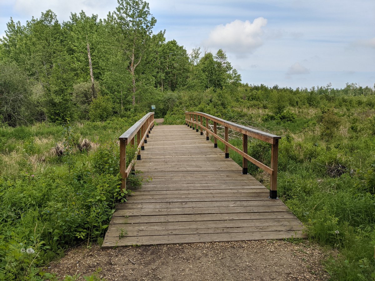 BeaverHillsBiosphere tweet media