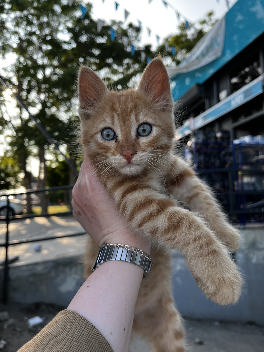 Bulduğum güzelliğe bakın 🥹