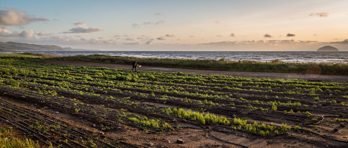 Brand Scotland ๐ด๓ ง๓ ข๓ ณ๓ ฃ๓ ด๓ ฟ (@scotland) on Twitter photo ๐ Did you know that a Scottish company is creating a greener future for coastal communities at the front line of the climate emergency?
<a href="/SeawaterFarming/">Seawater Solutions</a> creates wetland ecosystems that capture carbon, create jobs, and stabilise coastlines ๐.
#ClimateAction #Scotland ๐ Did you know that a Scottish company is creating a greener future for coastal communities at the front line of the climate emergency?
<a href="/SeawaterFarming/">Seawater Solutions</a> creates wetland ecosystems that capture carbon, create jobs, and stabilise coastlines ๐.
#ClimateAction #Scotland