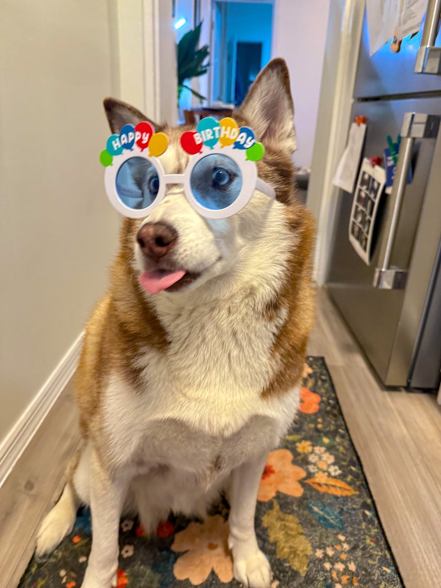 Christine Cupo tweet media