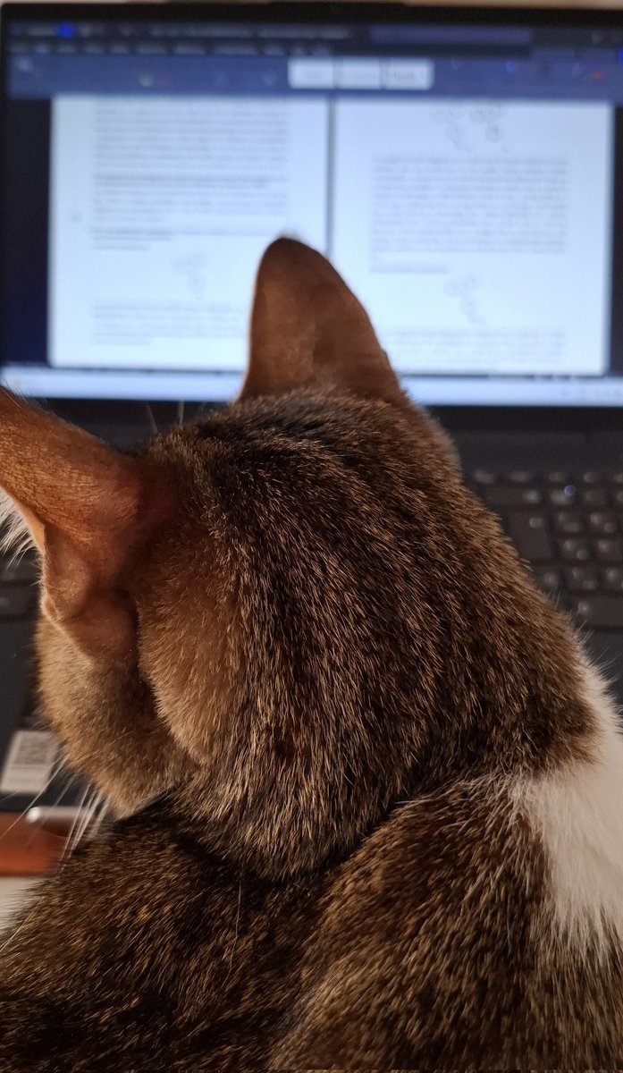 Mi compañia en el trabajo 10/10