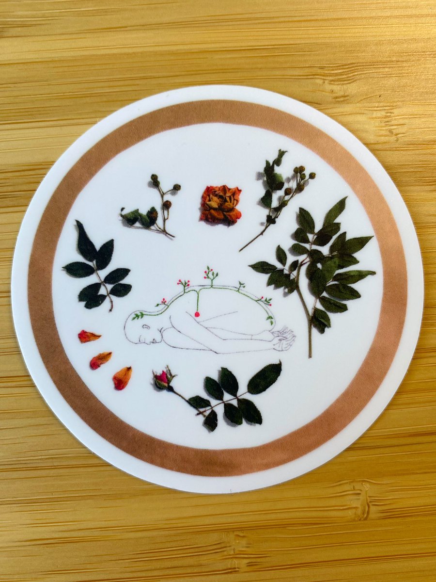 Root to Rise Holistics tweet media