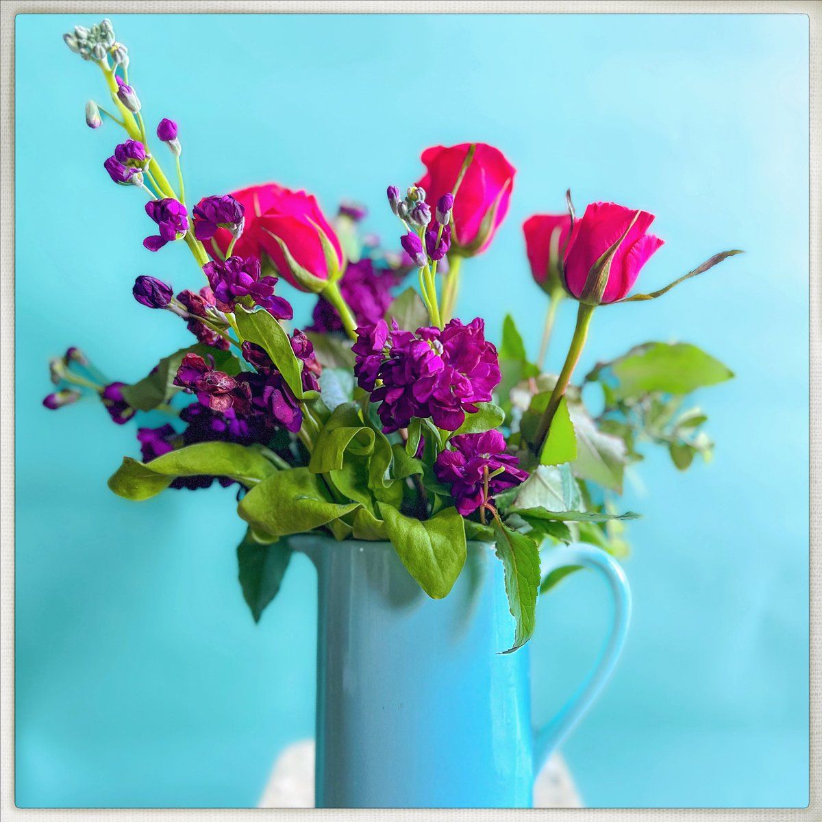 Day 153/365 #photoaday
Today’s flowers.