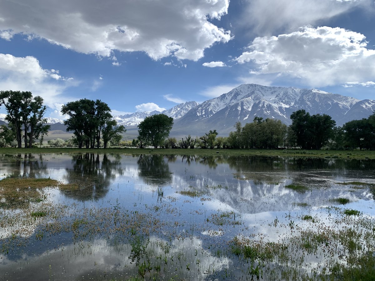 RuralCounties's tweet photo. #RuralCountyPhoto: The stunning #EasternSierra mountains reflecting on an #InyoCounty wetland is #RCRC’s rural county photo of the week. This scenic photo was captured by Sera Rose and submitted to #RCRC’s Annual Rural County Photo Contest in 2024. https://t.co/ebRDgiCgkV
