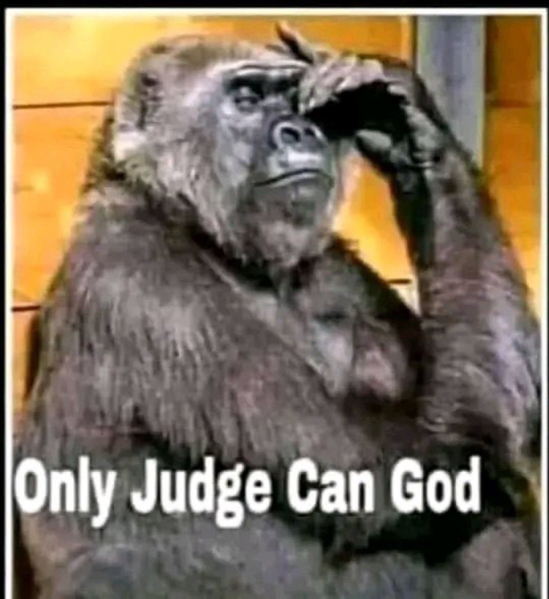 lost all og files on <a href="/Procreate/">Procreate</a> 🥴 guess it’s time to start over