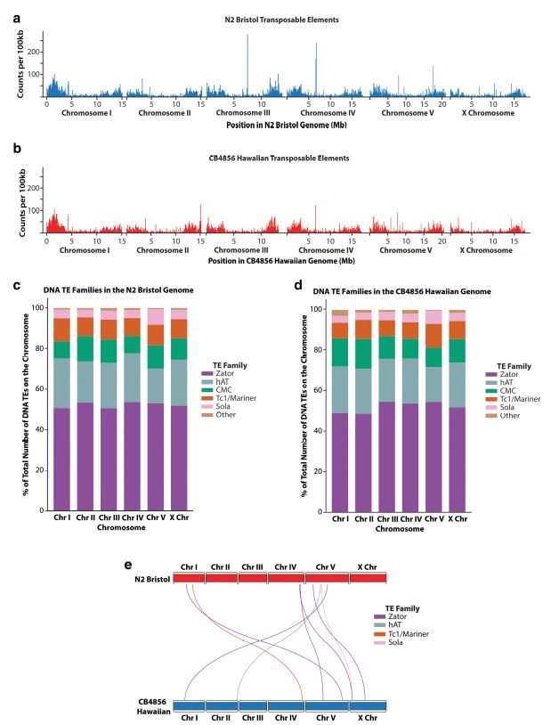 jsantoyo's tweet image. Transposable elements and heterochromatic regions are enriched for structural variation and sequence divergence in the genome of wild-type Caenorhabditis elegans. #TransposableElements #StructuralVariants #Heterochromatin #GenomeDivergence #Celegans #G3
academic.oup.com/g3journal/adva…