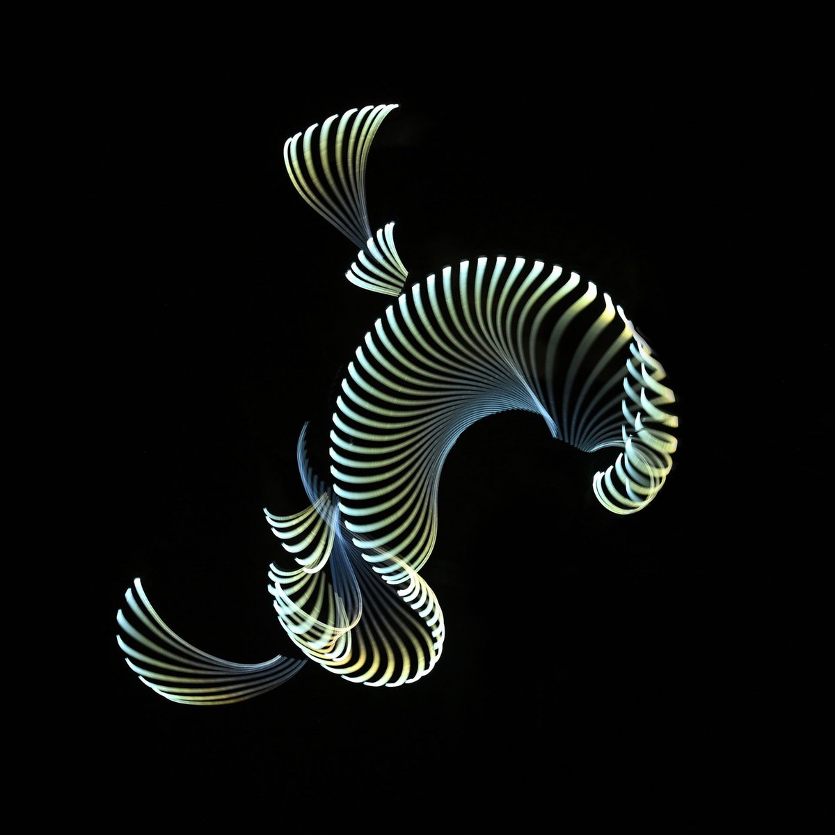Art is all about making the invisible visible 
⚡OCEANLIGHTS⚡
Series collection 
1/1  0.11 || ETH
✨Light painting photography one single long exposure
manifold.gallery/eth:0x0e6b9c07…