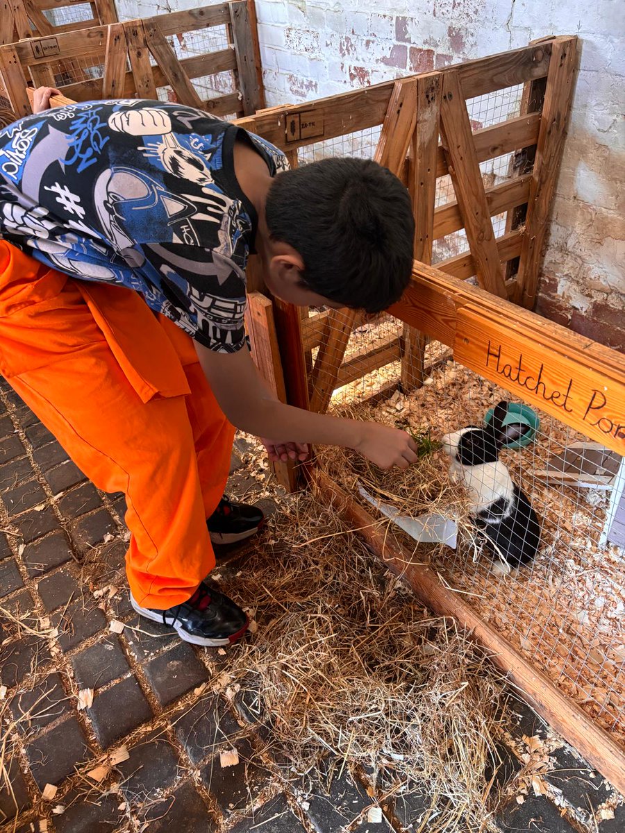 More fun on the farm at Beaulieu...