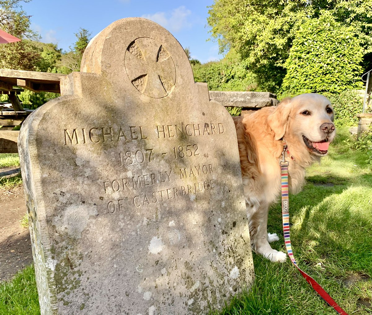 🌤️🐶📕

Thomas Hardy fans - here’s the gravestone of Michael Henchard, the Mayor Of Casterbridge.

But do you know where it is (and why it’s here)? #ThomasHardy