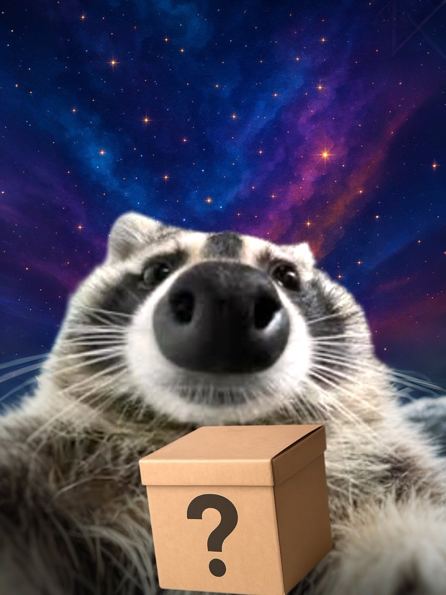 raccoon aesthetic. tweet media