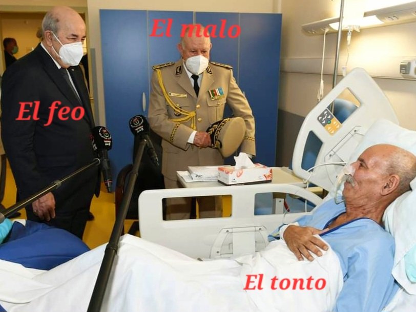 🔴Duro golpe al régimen #dictatorial argelino y sus milicias #terroristas del #polisario. 
El #Reino_Unido expresa su apoyo al plan de autonomía para el #Sáhara_Marroquí 
🔴 118 países de todos los continentes han expresado su apoyo al Plan de Autonomía para el sahara marroquí.