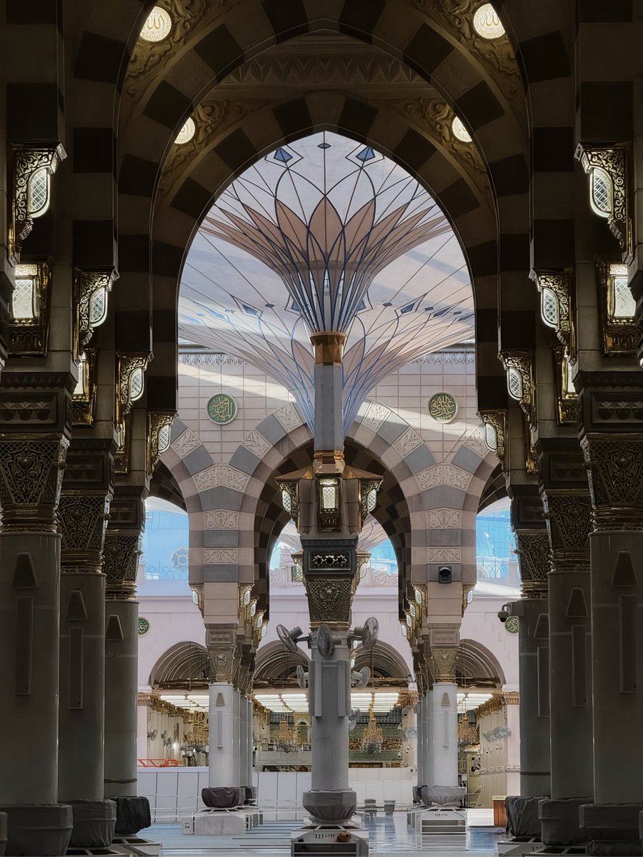 shxi3i's tweet photo. #madinah 🕌🤎 https://t.co/KIRbECP4No