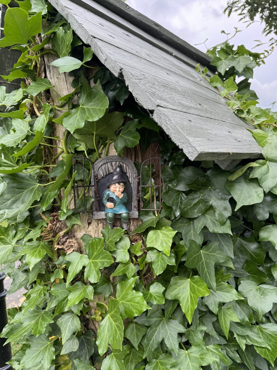 Peep, lovely to see the ivy thriving on one of our fallen trees which we recycled into a fairy house.  Ivy is a great source of food for our early pollinators.  
Mother Gnome is happy chuckling!
