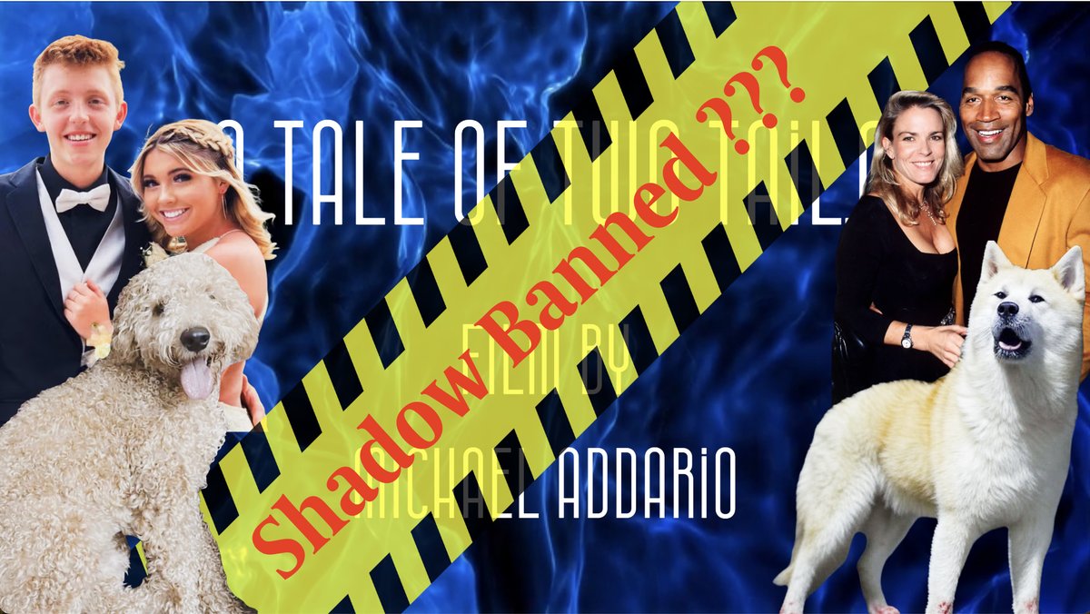 AddarioMichael's tweet image. A Tale of Two Tails: What Do the Dogs Know?
In my latest film, Blow Up @ Moscow Idaho 11/13/22 – Part 9, I explore two haunting cases: the 1994 Nicole Brown Simpson tragedy and the 2022 Idaho 4 case. A 1995 LA Times article describes Nicole’s dog, Kato, howling and alerting…