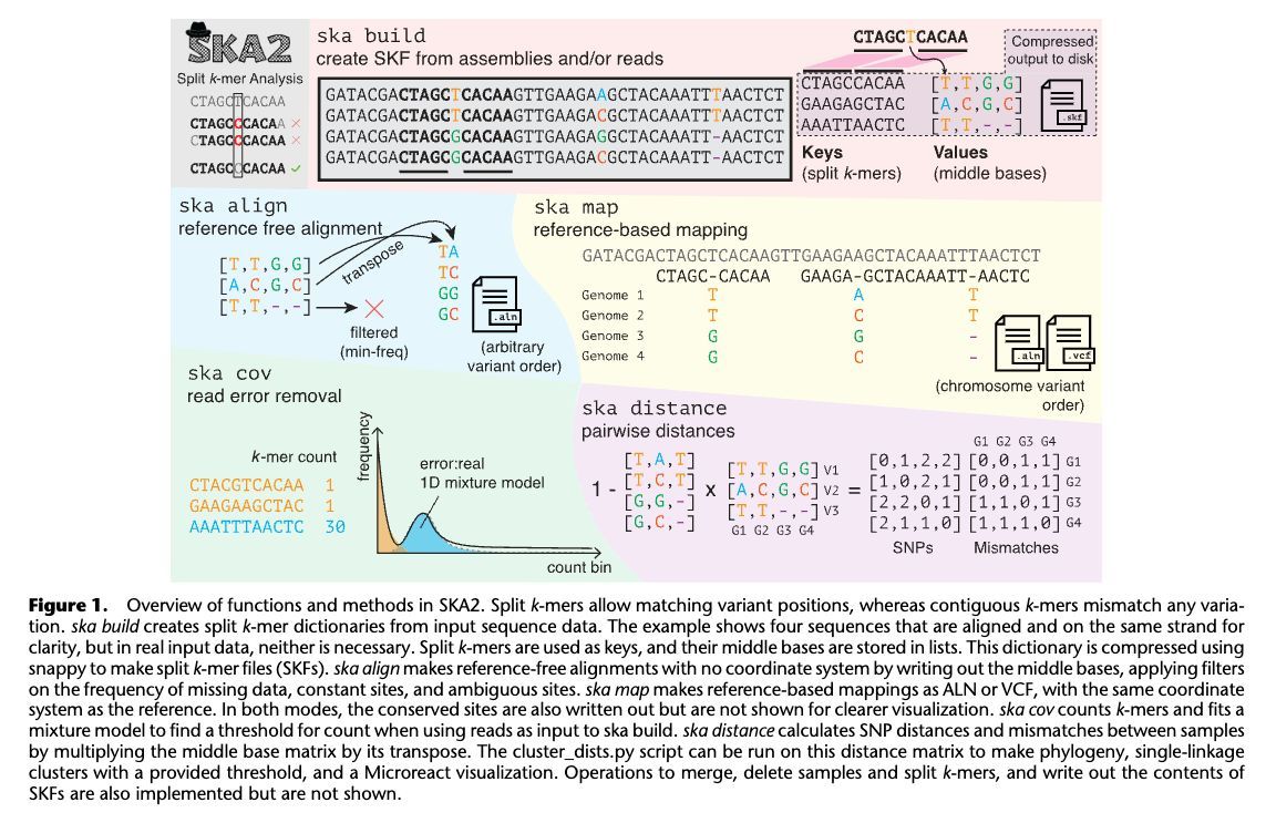 Stephen Turner 🦋 @stephenturner.us tweet media