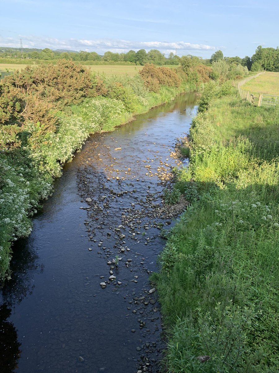 Andy Brown 💙💛 tweet media