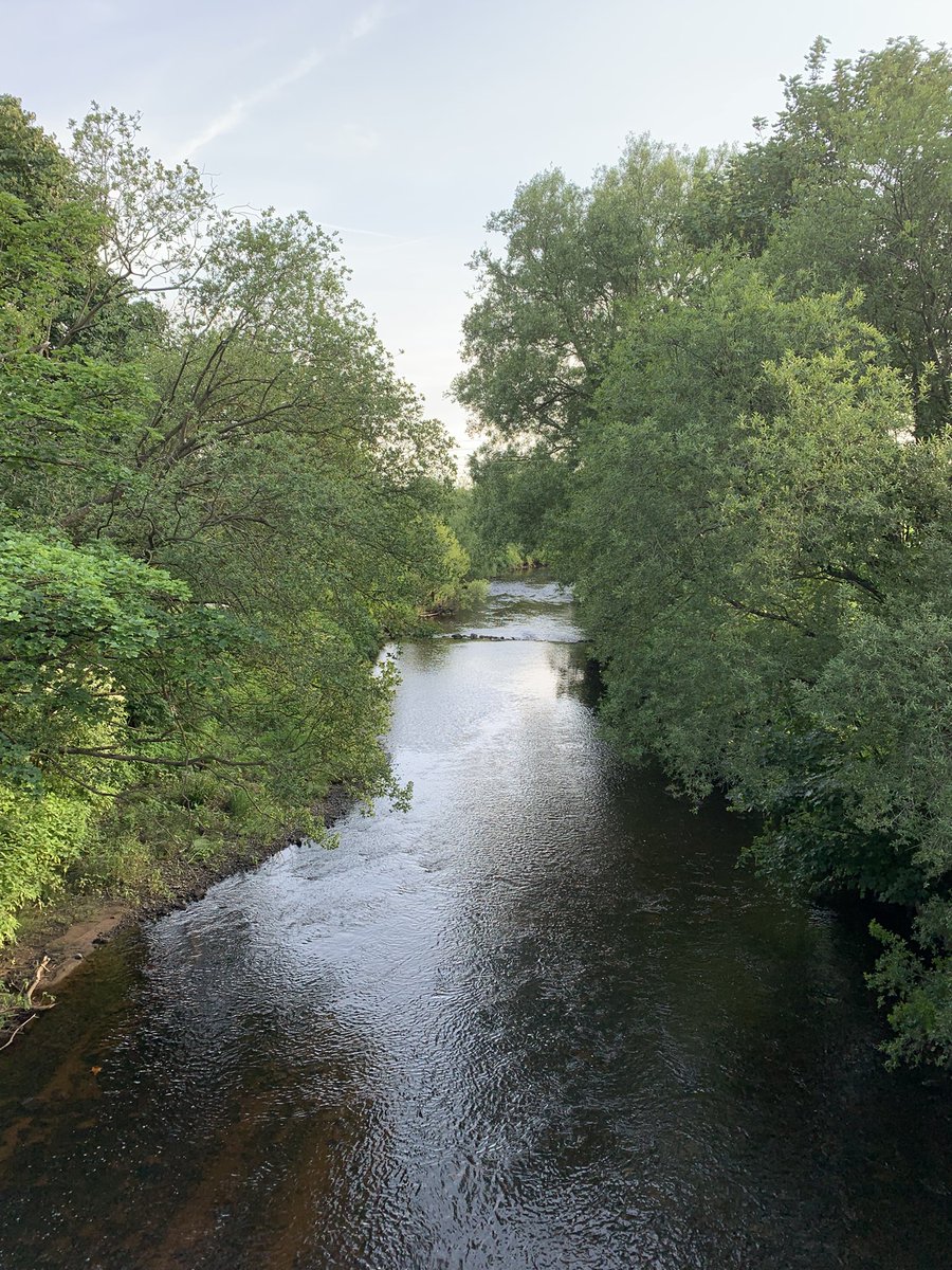 Andy Brown 💙💛 tweet media