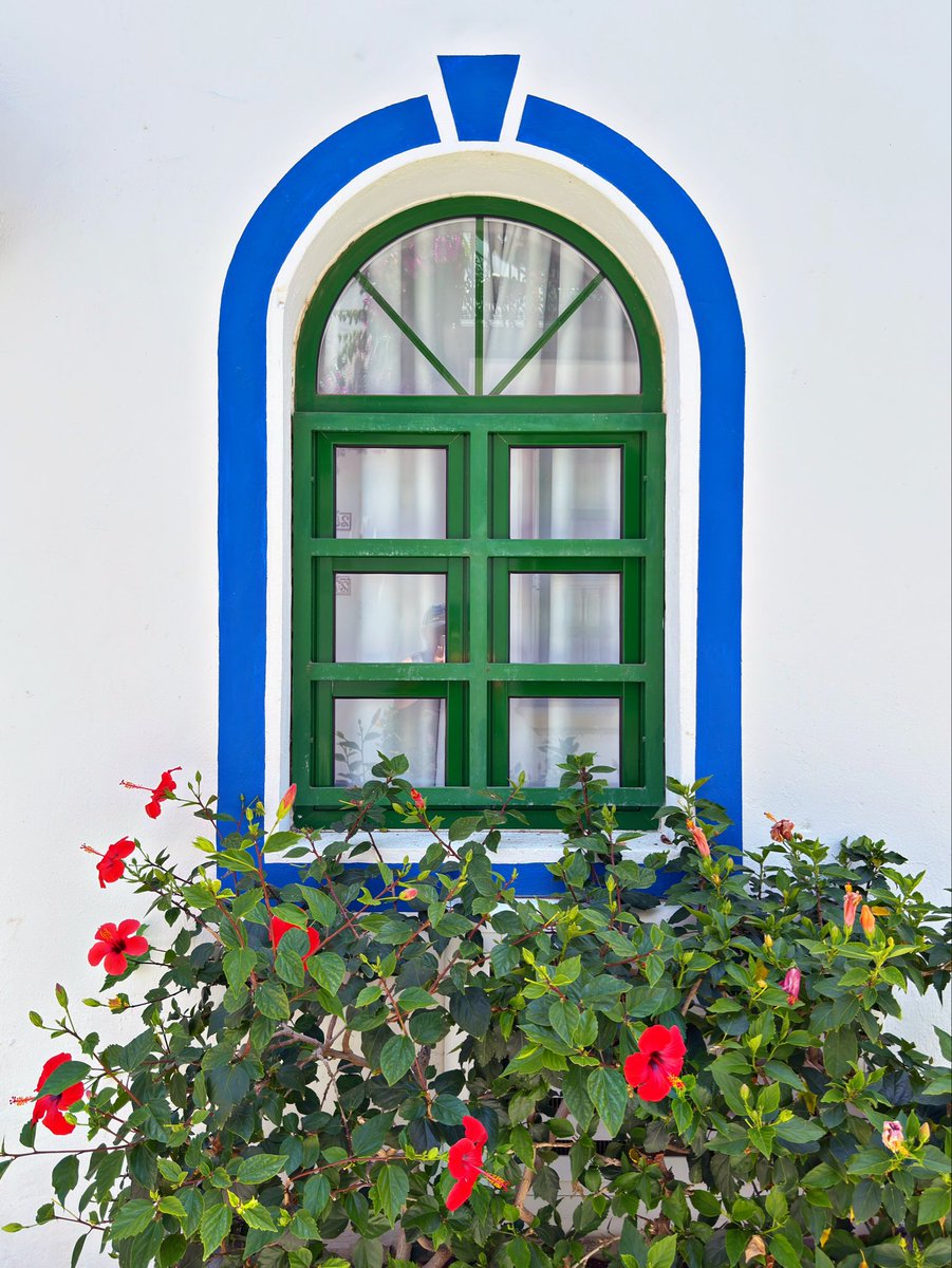 🇮🇨MyCanaryIslands tweet media