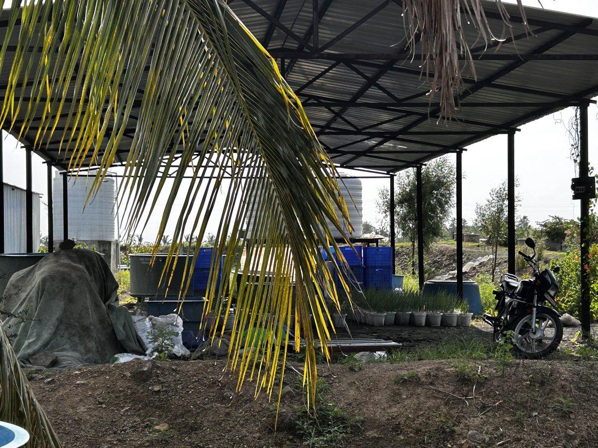 Mukesh Bhendarkar (@mukeshbhendark2) on Twitter photo Just joined back at <a href="/IcarNiasm/">ICAR-NIASM</a>.
Went straight to the my lab — no warm-up, no holiday mood.
Cabin and lab looked like it had taken a long nap… without cleaning up first.
Dust, mess, old memories — all waiting.
Time to wake it up and get things moving again! #BackToWork #eDNA Just joined back at <a href="/IcarNiasm/">ICAR-NIASM</a>.
Went straight to the my lab — no warm-up, no holiday mood.
Cabin and lab looked like it had taken a long nap… without cleaning up first.
Dust, mess, old memories — all waiting.
Time to wake it up and get things moving again! #BackToWork #eDNA