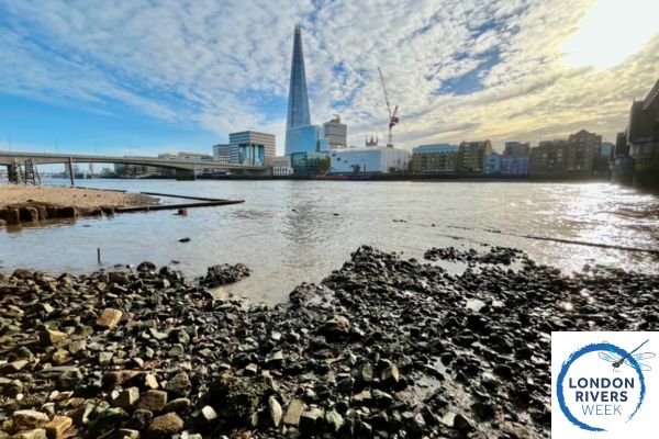 Thames21 (@thames21) on Twitter photo Few more tickets released! Join the fantastic <a href="/liz_lizanderson/">Liz Anderson 🇺🇦🌻📚🖋🏺📷🍸</a> for a special #londonriversweek2025 talk about the 'seasonal Thames and our wellbeing'.
📅Tues 3rd June. 12pm-1pm
Book here: book.plinth.org.uk/e/9gFZX1RQZIL7… Few more tickets released! Join the fantastic <a href="/liz_lizanderson/">Liz Anderson 🇺🇦🌻📚🖋🏺📷🍸</a> for a special #londonriversweek2025 talk about the 'seasonal Thames and our wellbeing'.
📅Tues 3rd June. 12pm-1pm
Book here: book.plinth.org.uk/e/9gFZX1RQZIL7…