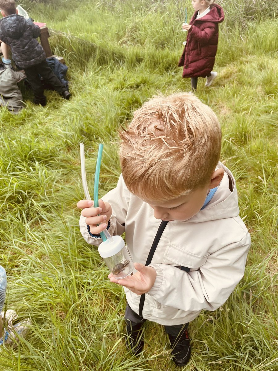 AddiewellPS's tweet image. The rain stayed off for outdoor learning today &amp;amp; P1 had a successful bug hunt in the woods.  We used descriptive language to present our new wee pals to the class - these included ‘a huge leopard slug’, ‘a stripy snail with long antennae’ &amp;amp; ‘a sleepy little millipede’.