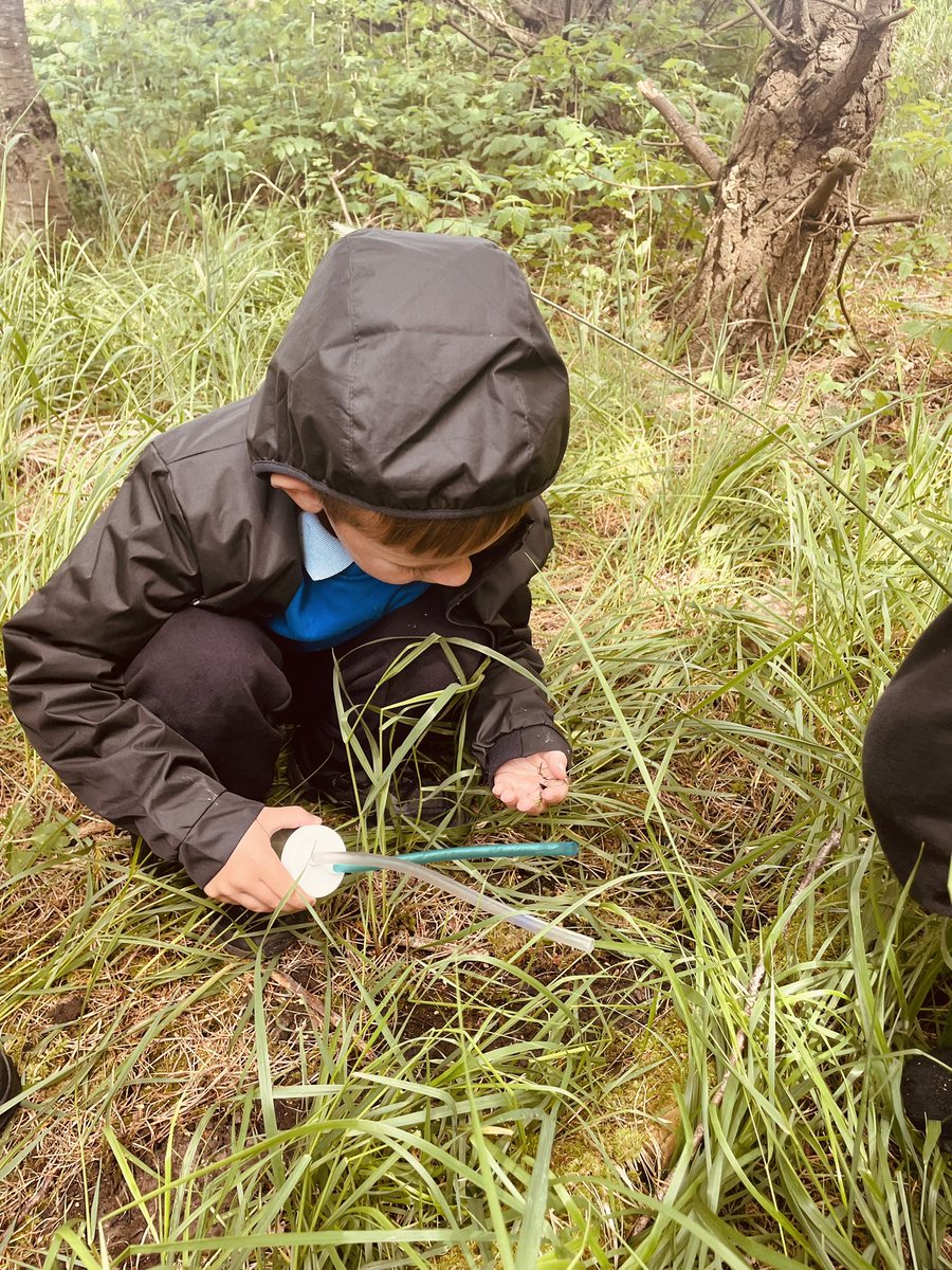 AddiewellPS's tweet image. The rain stayed off for outdoor learning today &amp;amp; P1 had a successful bug hunt in the woods.  We used descriptive language to present our new wee pals to the class - these included ‘a huge leopard slug’, ‘a stripy snail with long antennae’ &amp;amp; ‘a sleepy little millipede’.