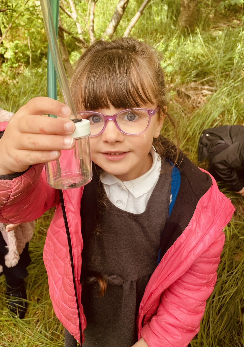 AddiewellPS's tweet image. The rain stayed off for outdoor learning today &amp;amp; P1 had a successful bug hunt in the woods.  We used descriptive language to present our new wee pals to the class - these included ‘a huge leopard slug’, ‘a stripy snail with long antennae’ &amp;amp; ‘a sleepy little millipede’.