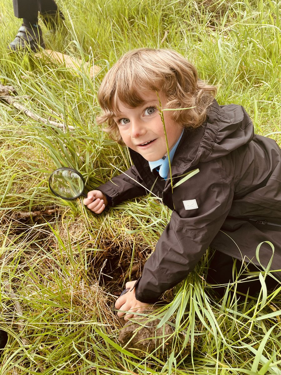 AddiewellPS's tweet image. The rain stayed off for outdoor learning today &amp;amp; P1 had a successful bug hunt in the woods.  We used descriptive language to present our new wee pals to the class - these included ‘a huge leopard slug’, ‘a stripy snail with long antennae’ &amp;amp; ‘a sleepy little millipede’.