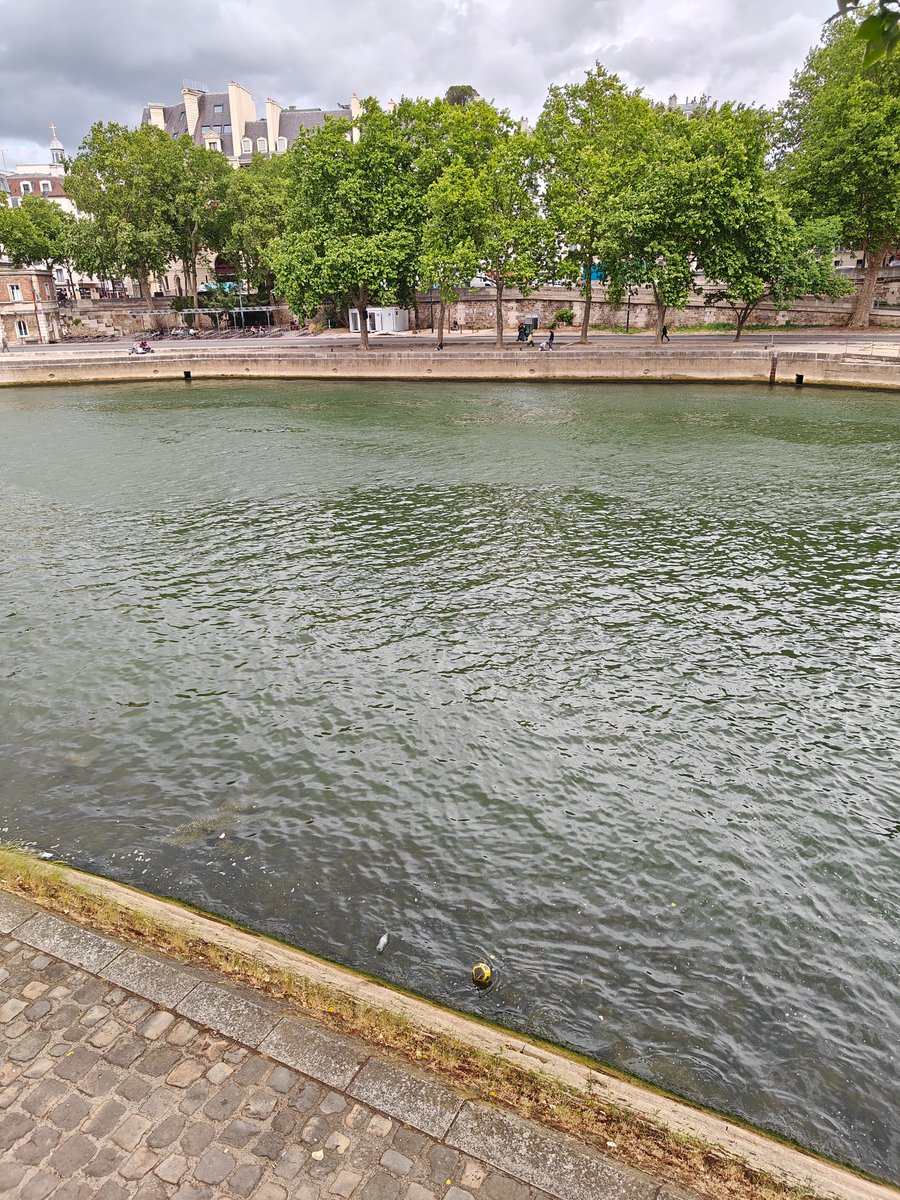 Seine, Paris
<a href="/Lostfootballs/">Lost Footballs</a>