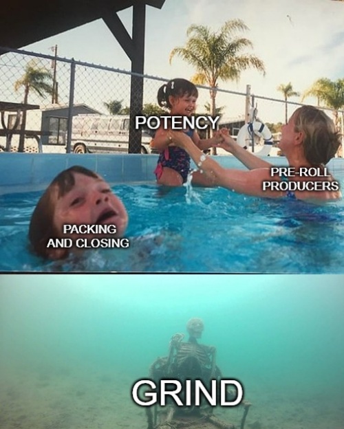 In pre-roll production, potency gets all the attention.
Packing and closing get some.
But the grind — the foundation of a quality pre-roll — is often completely overlooked.

Without the right grind, you’ll never get the consistency, burn, or draw your customers expect. 

Learn