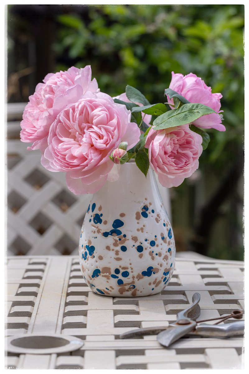 Pink cascade. <a href="/serudd1960/">Susan Rudd</a> <a href="/JKnussen/">Jenn Knussen 💜</a> <a href="/loz89/">Lauren Rowlands</a> <a href="/ShiresGirl/">Karen Weston 💙</a> <a href="/5Naureen/">Naureen Khalid</a> <a href="/JCadd/">Julie Caddell</a> <a href="/FrostlynneLynn/">Lynne Frost</a> <a href="/WheelerMads/">Maddie Wheeler</a> <a href="/GillMWilliams/">Gill Williams</a>