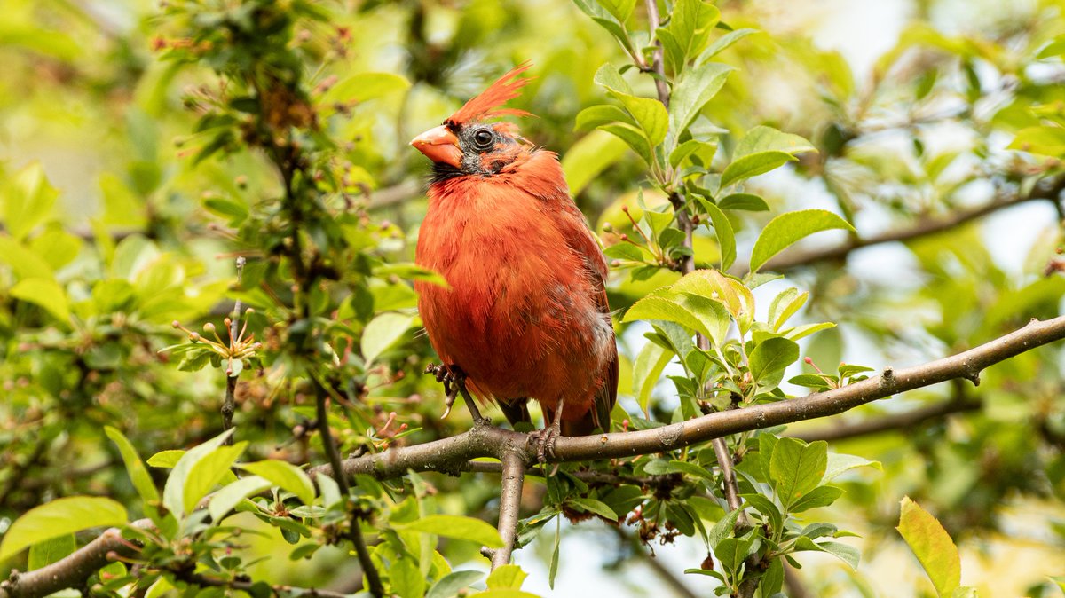 Alan Wang tweet media