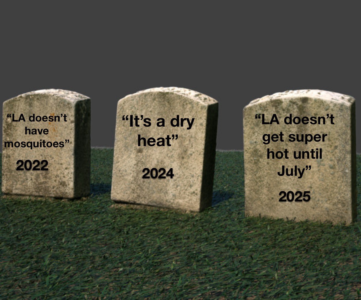 Americana at Brand Memes (@americanamemes) on Twitter photo 