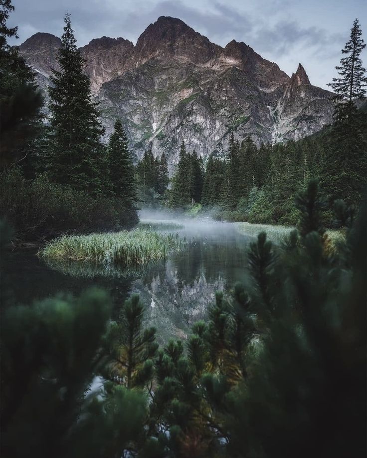elemmiressoul's tweet photo. lovely nature. https://t.co/Vc76d77NrA