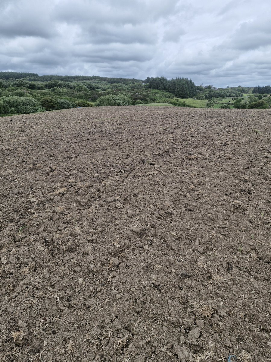 Thanks to my contractor and my dad , I reseeded and rolled 6 acres this evening at a rate of 15kgs/acre. 

We got it finished just before the rain came 🌧🌧🙂 

#Reseeding2025🇮🇪🐄 <a href="/Drinaghagri/">Drinagh Agribusiness</a>