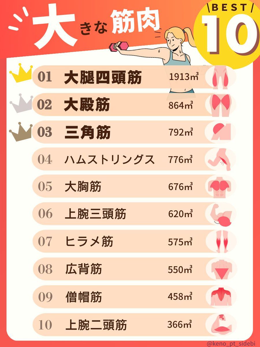 痩せたい人は
デカいこいつら鍛えてください。

リプにBEST5それぞれのトレ方法↓