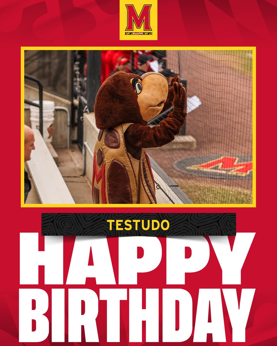 TerpsSoftball's tweet image. Happy Birthday, Testudo! 🐢🥎🎂