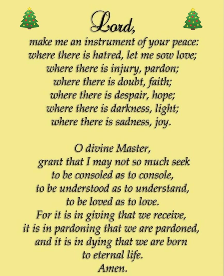 Buffybear🇺🇲 tweet media