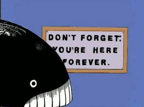 fandanium's tweet image. 