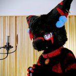 Photo by Kemono ProJect (@Kemono__Project)