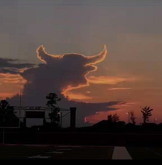 Trent_Hoerr's tweet image. BullRush is now taking over the sky.

@Bullrushcomp 

#bullrush #sportspicks #Competition