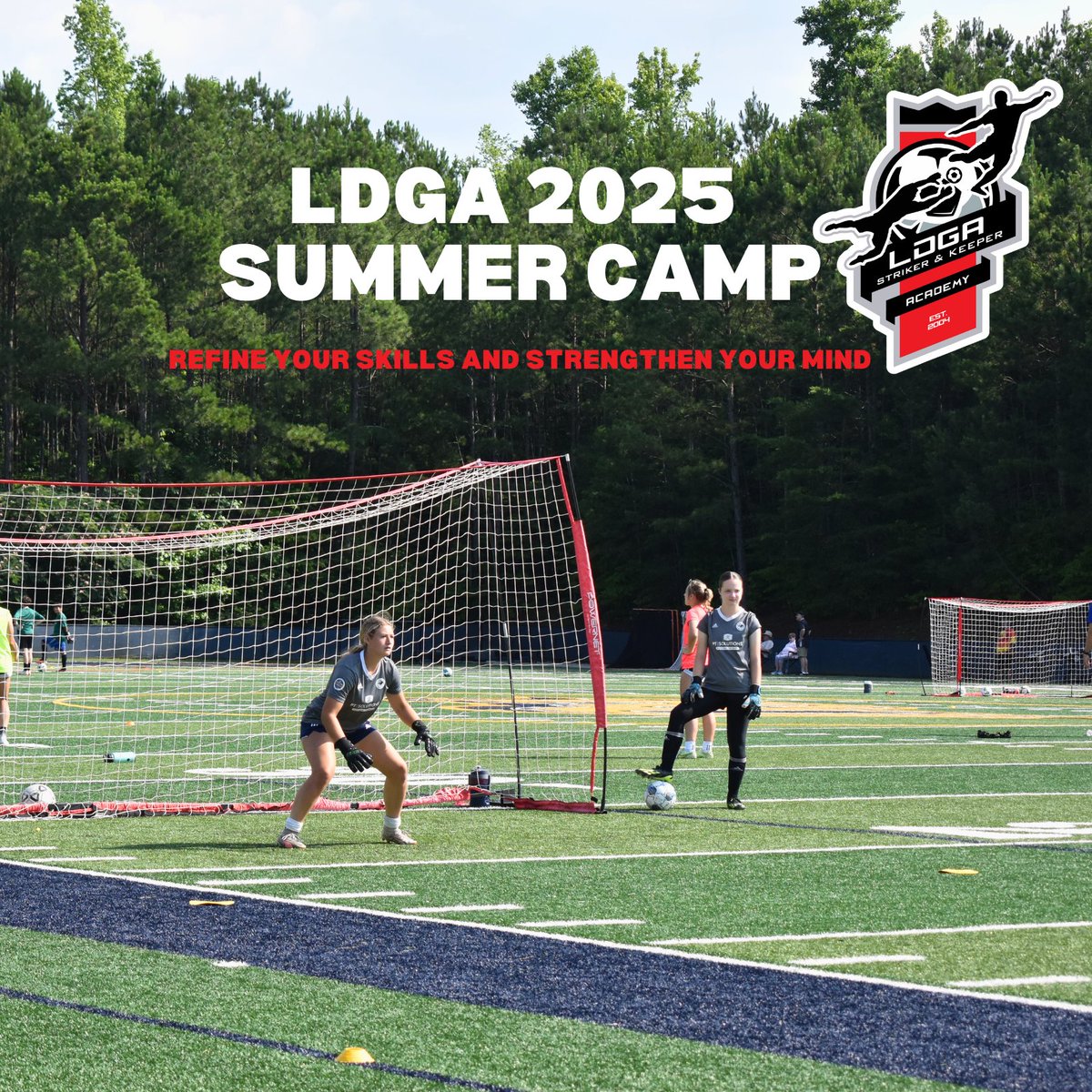 LDGA Goalkeeping tweet media