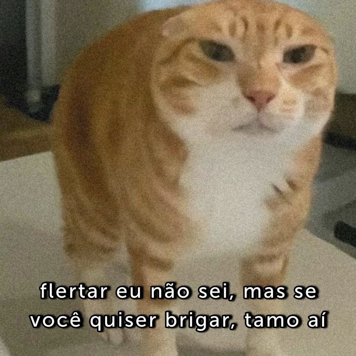 paginalixo1's tweet image. 