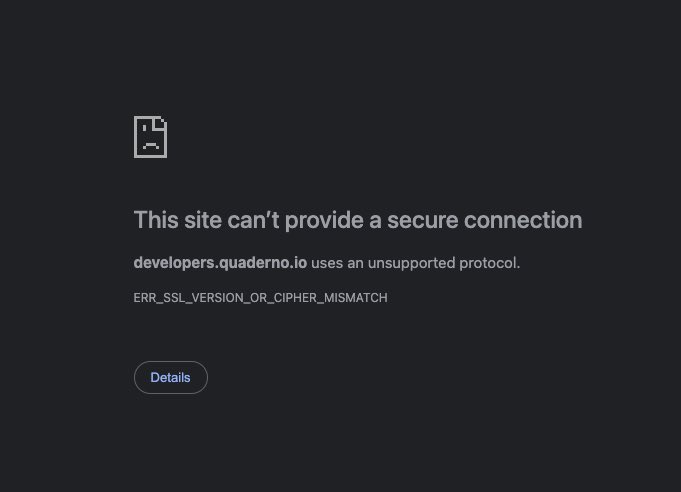 Ismael Wrixen tweet media