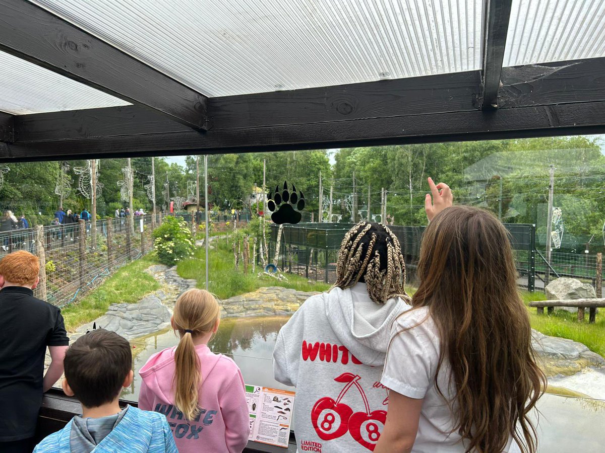 Quarry Brae Primary and Nursery Class (@quarrybraepri) on Twitter photo Primary 6 loved their trip to <a href="/fivesisterszoo/">Five Sisters Zoo</a> today learning all about habits, conservation & seeing all the different animals. #successfullearners 🦁🐒 Primary 6 loved their trip to <a href="/fivesisterszoo/">Five Sisters Zoo</a> today learning all about habits, conservation & seeing all the different animals. #successfullearners 🦁🐒