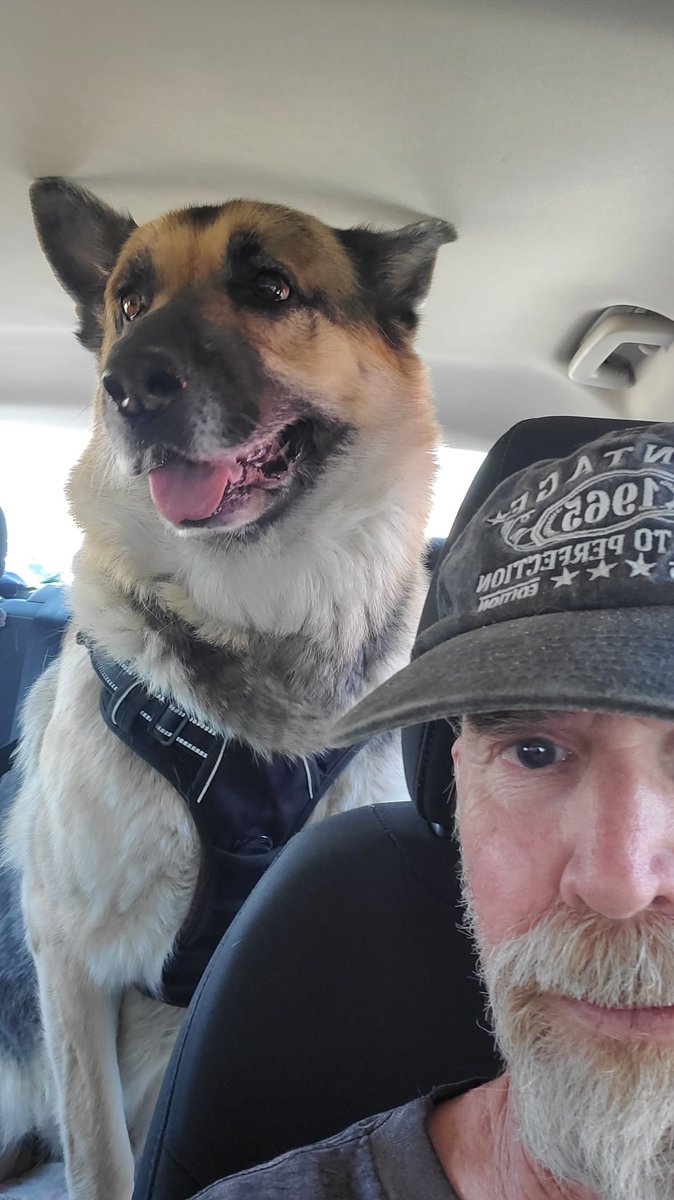 Max wondering where he's going. Doggy salon. And no, he doesn't like it.