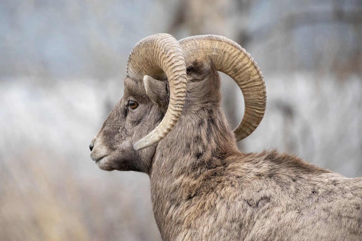 POV: Checking your email inbox after the long weekend.

Photo NPS/Ashton Hooker