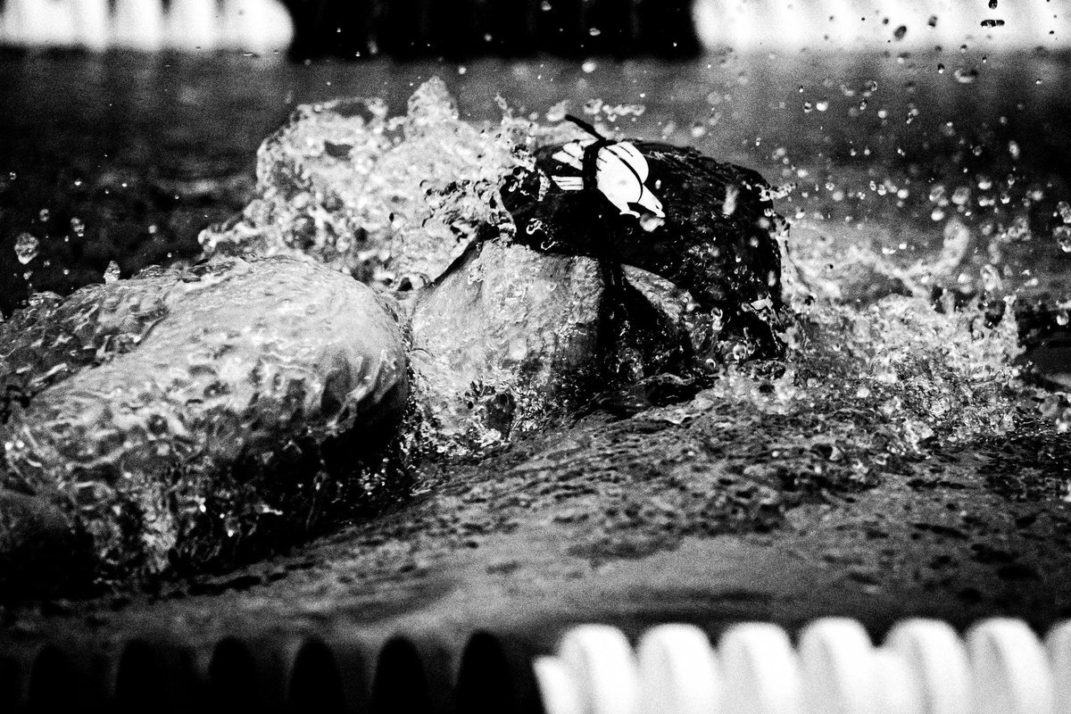 UNT Swim & Dive tweet media