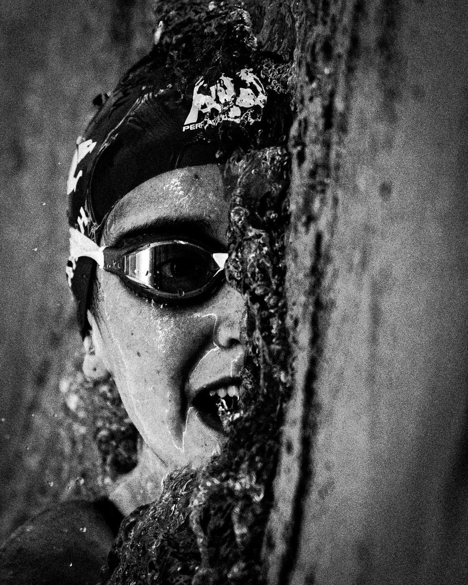 UNT Swim & Dive tweet media